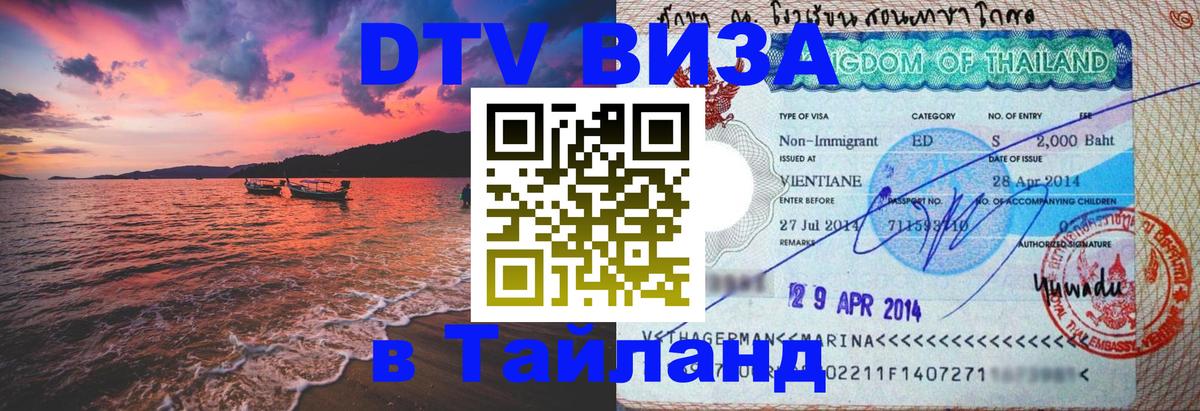 Оформление DTV визы под ключ: стоимость и тарифы, только загранпаспорт - Рубцовск 